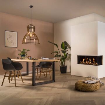 Trimline Fires Trimline 100 C hoek gashaard